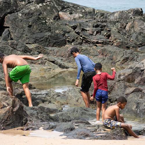 Nuños subiendo rocas