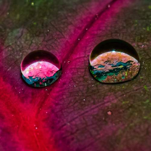 Photo #12273290