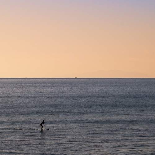 Photo #12273293