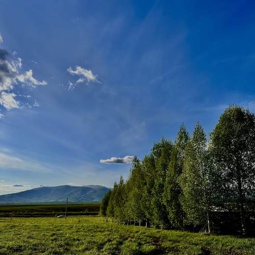 Photo #12273320