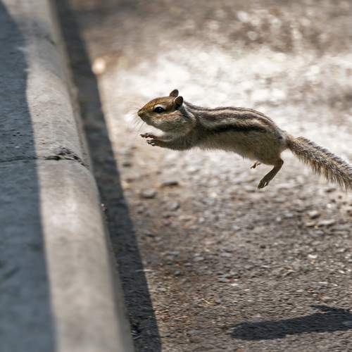 Photo #12273593