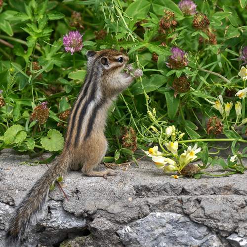 Photo #12274001