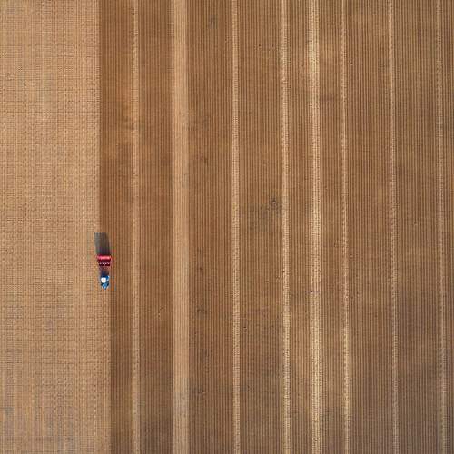 Photo #12274082