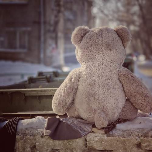 Photo #12274139