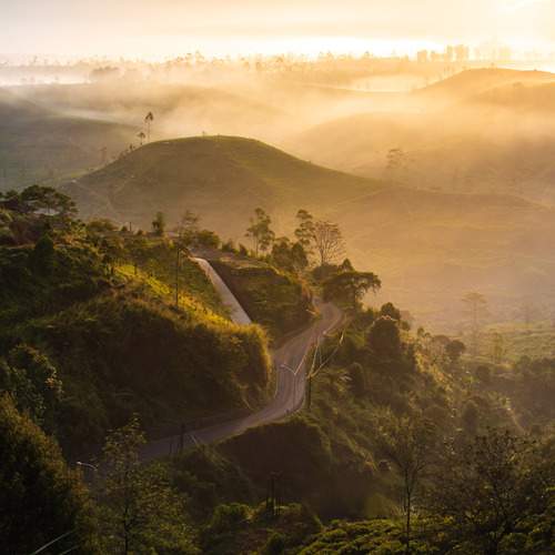Sunrise