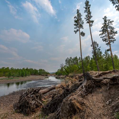 Photo #12274774