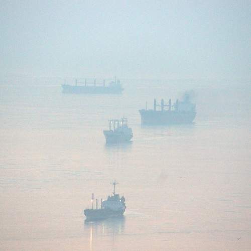 Photo #12274825