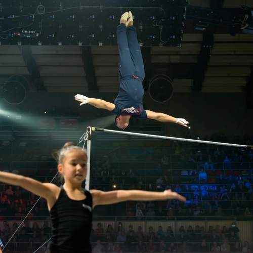 Photo #12274998