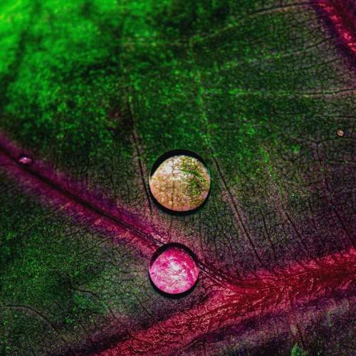 Photo #12275230