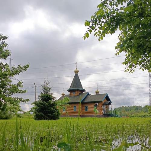 Photo #12275235
