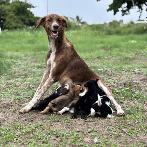 Photo #12275236