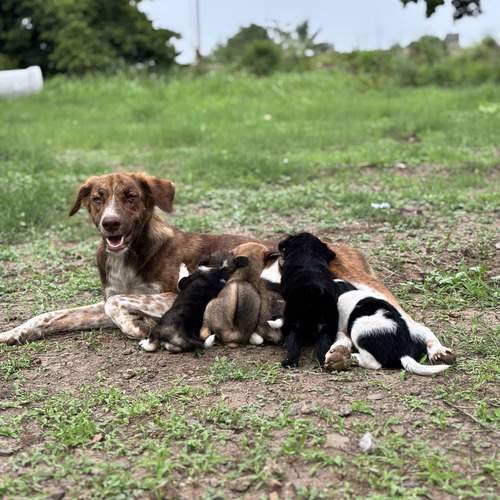 Photo #12275255