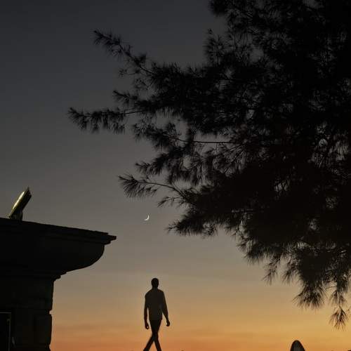 Photo #12275270