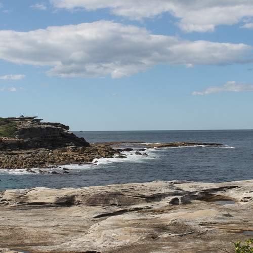 Photo #12275500