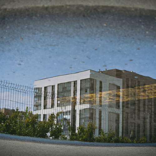 Photo #12275616