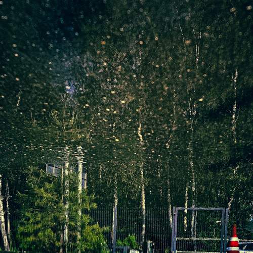 Photo #12275617