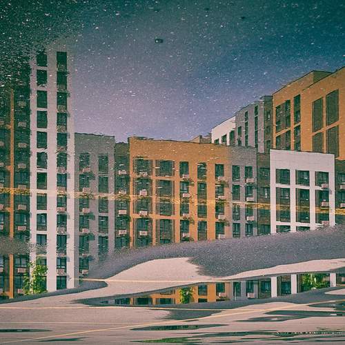 Photo #12275618