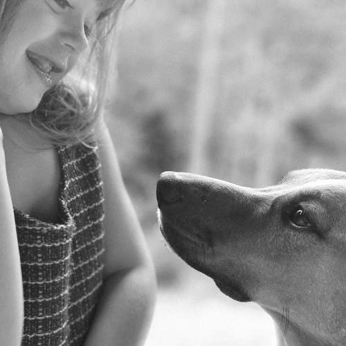 Photo #12275705