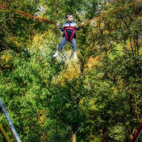 Photo #12275910