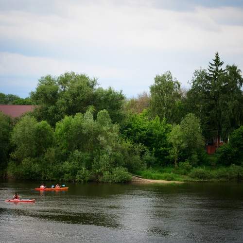 Photo #12276128