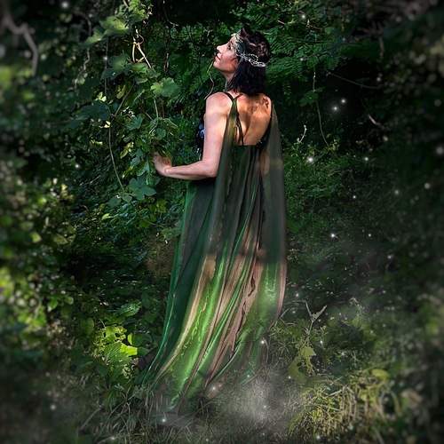 Photo #12276723