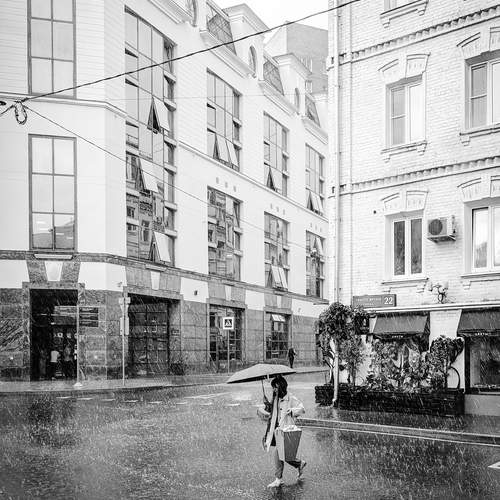 Photo #12276845