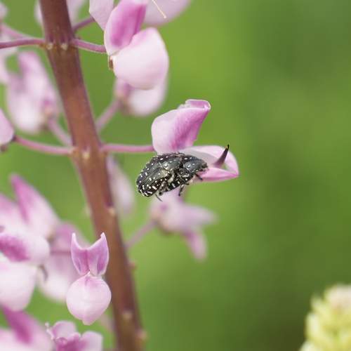 Photo #12276895