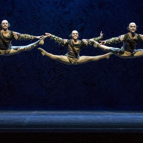 Photo #12277424