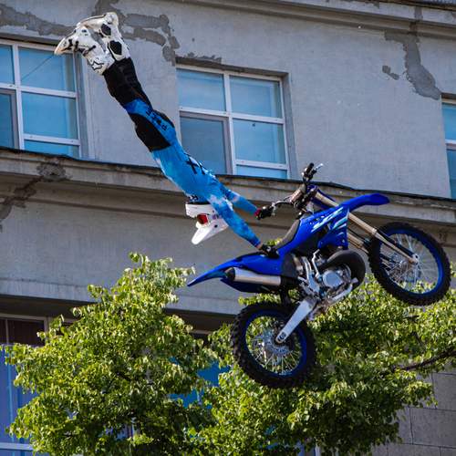 Photo #12277425