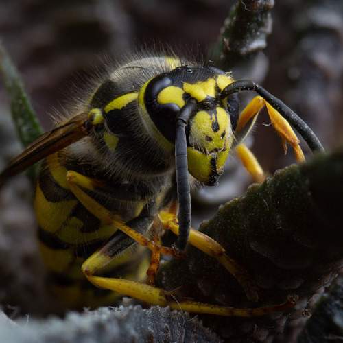 Photo #12277752