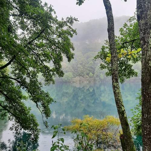 Photo #12278171