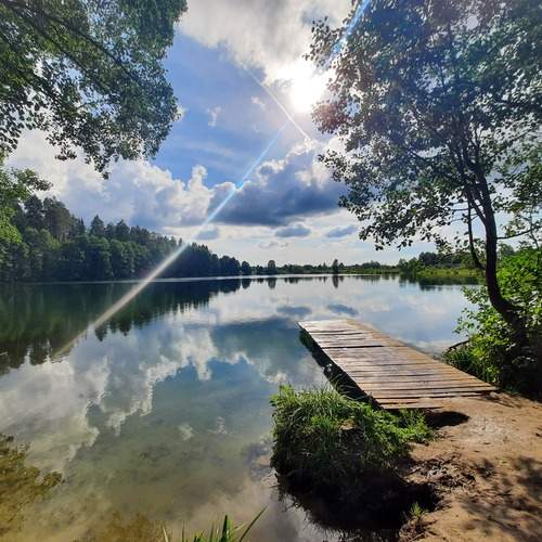 Photo #12278184