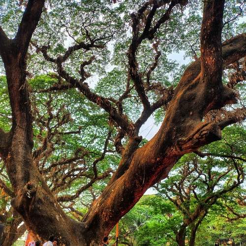 Photo #12278303
