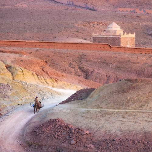 Photo #12278400