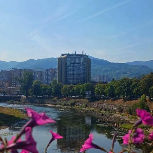 Photo #12278654