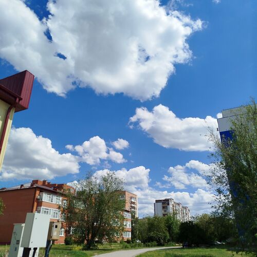 Фотография #12279496