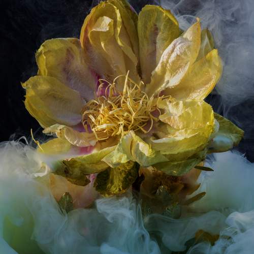 Photo #12279499