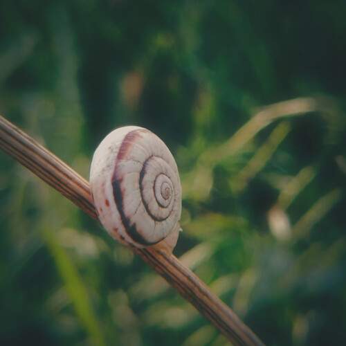 Photo #12279712
