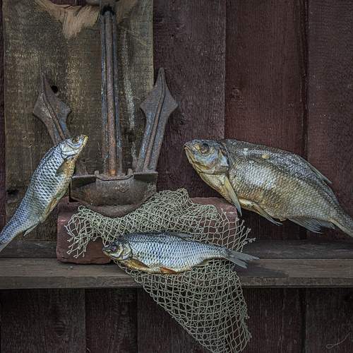 Photo #12279847