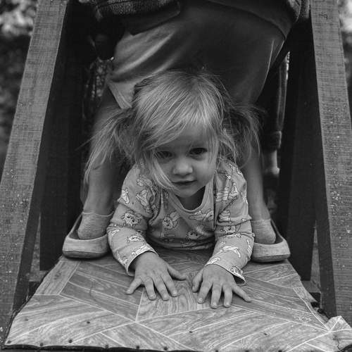Photo #12280228