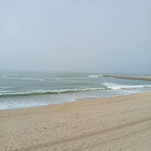 Photo #12280325