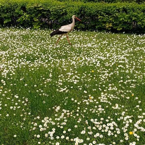 Photo #12280328