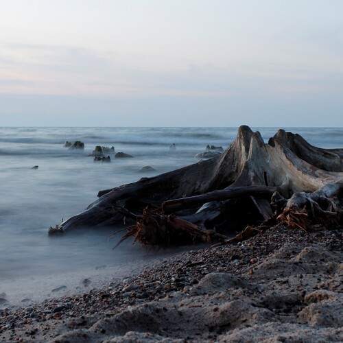 Photo #12280421