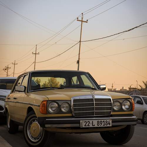 Photo #12280541
