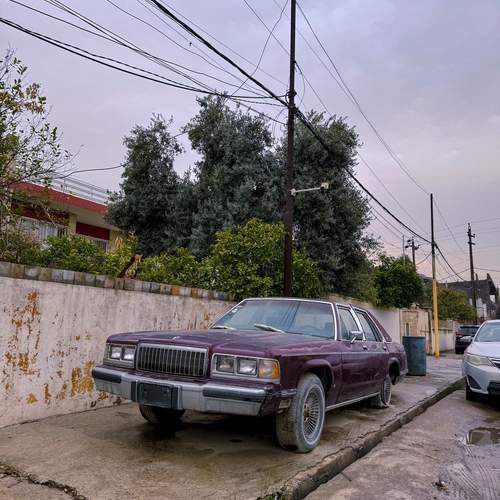 Photo #12280542