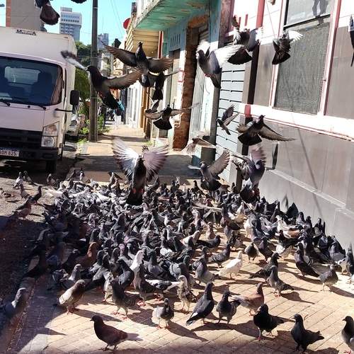 Photo #12280943