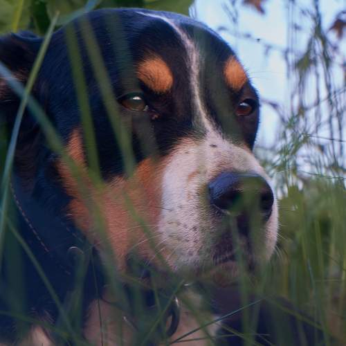 Photo #12281199