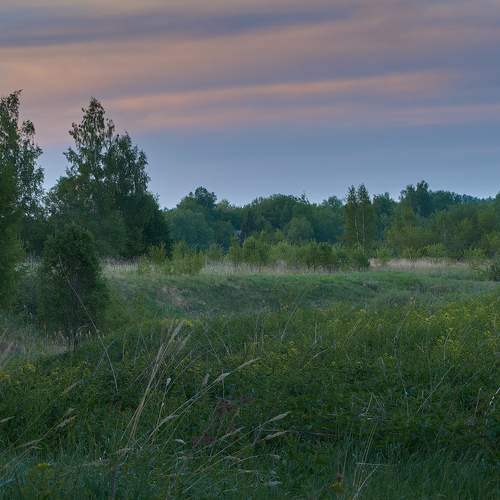 Photo #12281210