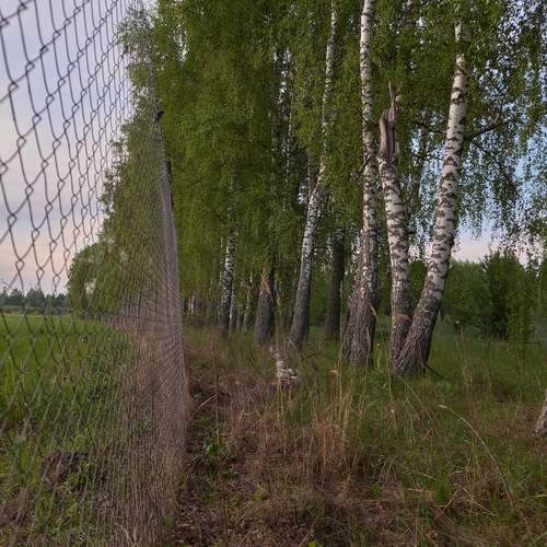 Photo #12281220
