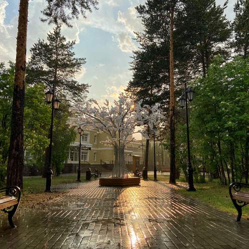 Photo #12281401